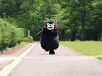 意我们凡人也能借鉴 娱乐圈婚礼周报开元棋牌app娱乐圈忙着结婚这些创(图20)