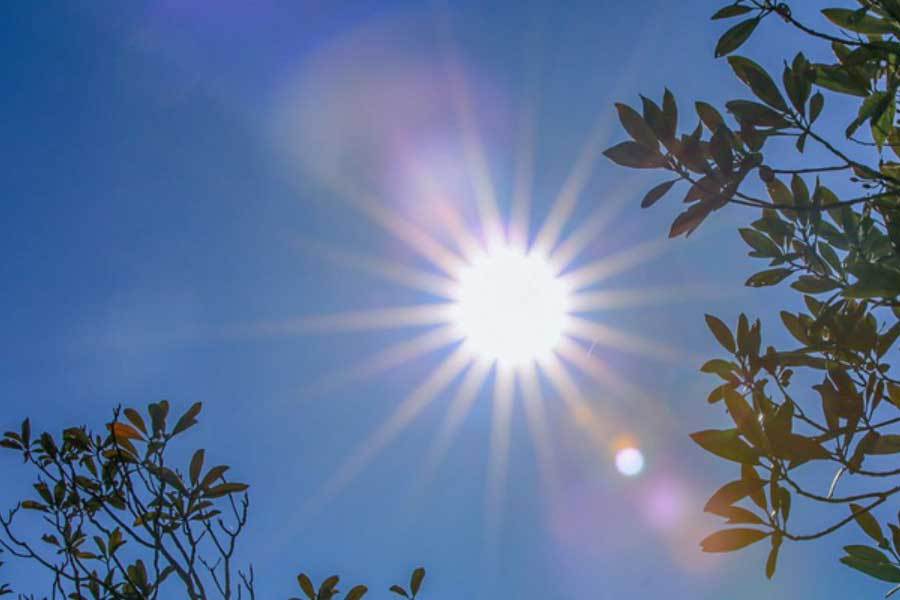 蝶结长裙明媚动人开元棋牌宋茜穿蝴(图1)